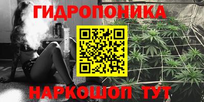 apvp Ипатово