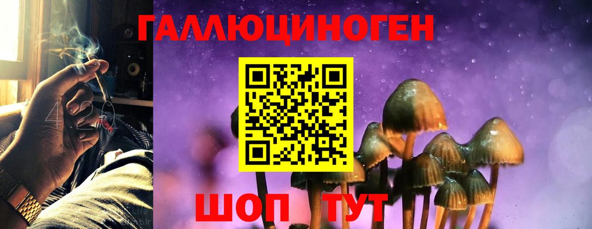 Кулебаки  Псилоцибиновые грибы мухоморы  Вход с VPN 